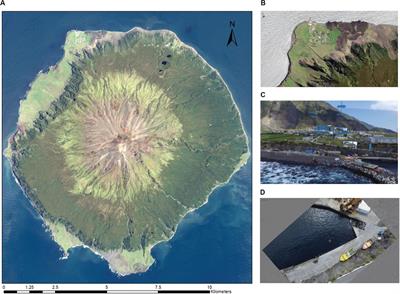 Multiscale Integration of High-Resolution Spaceborne and Drone-Based Imagery for a High-Accuracy Digital Elevation Model Over Tristan da Cunha